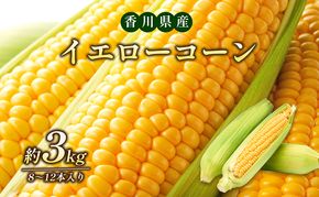 イエローコーン 約3kg 野菜 とうもろこし 野菜セット 