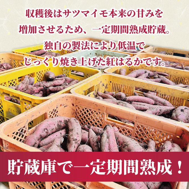 冷凍焼き芋 約1kg（紅はるか）｜焼き芋 やきいも 焼きいも さつまいも 紅はるか サツマイモ 先行予約 予約 茨城県 取手市（AS008）