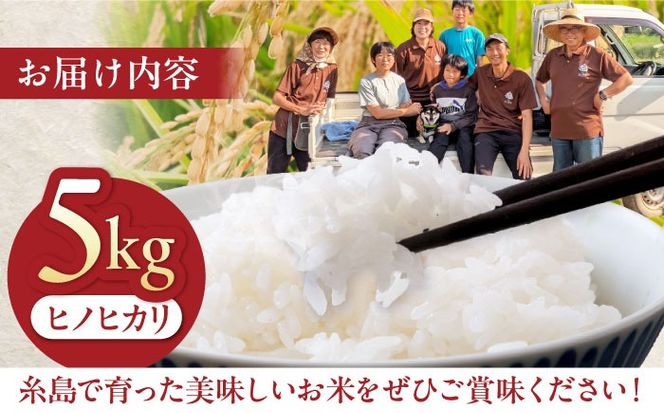 福岡県 糸島市産 白米　ヒノヒカリ　5kg 糸島市 / 谷川農園 コメ 米 ひのひかり[AVQ006]