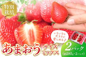 【先行予約受付中】【2026年12月以降順次発送】特別栽培あまおう2パック(サイズミックス)【うるう農園】_HA1967