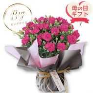 【母の日ギフト】鉢もの「カーネション7号ピンク」＜お届け日：2026年5/4～5/10 当店おまかせ ＞母の日カード付き【 母の日 ギフト アレンジ 花 カーネーション 贈り物 大阪府 門真市 】 272230_BG071VC02