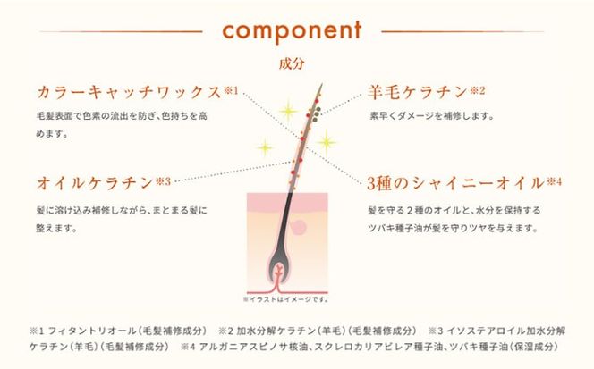リシリアフレル カラーケアコンディショナー 専用ボトル+詰め替え用パウチセット 糸島市 / 株式会社ピュール コンディショナー 補修[AZA181] コンディショナー 補修 ダメージ パサつき うねり 詰め替え ボトル セット