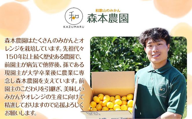 ［定期便］森本農園の手選別 柑橘定期便 家庭用 約4.5kg サイズ混合 和歌山県産 ［北海道・沖縄・離島配送不可］［2026年10月～2027年5月まで全8回お届け］ ［RN168］ 303446_DJ90168