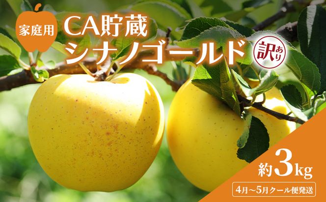 【平均糖度13度以上】4月～5月 クール便発送 家庭用 訳あり CA貯蔵 シナノゴールド 約 3kg りんご リンゴ 林檎 果物 フルーツ わけあり 青森