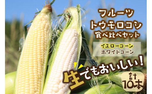 ys{Oszys\z HIxIāI t[cgERVizCgR[CG[R[v10{jHה׋OZbgi2026N6{`j@DE00136