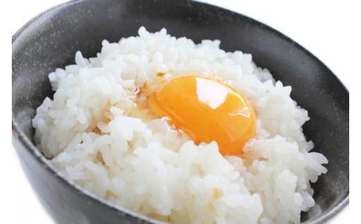 ＜定期便 全3回＞令和7年産 真庭市産きぬむすめ 白米 10kg(5kg×2袋）×3回 / お米 国産 岡山県 米 人気 ブランド 2025年産 【tkns-tkb016-cho】