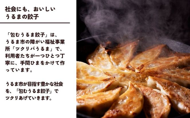 包むうるま餃子 4種セット（島餃子・鶏塩餃子・チャンプルー餃子・車海老餃子）