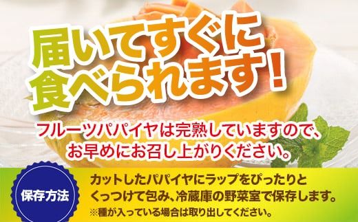 フルーツパパイヤ４kg 【 パパイヤ フルーツパパイヤ 果物 くだもの フルーツ 果実 国産 沖縄県 沖縄 石垣 石垣島 石垣市 】ZH-14
