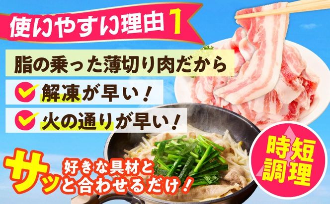 CFX0107 【数量限定】国産 豚バラ 切り落とし 2kg【味付け 豚肉 400g×5P 小分け 訳あり 部位不揃い】