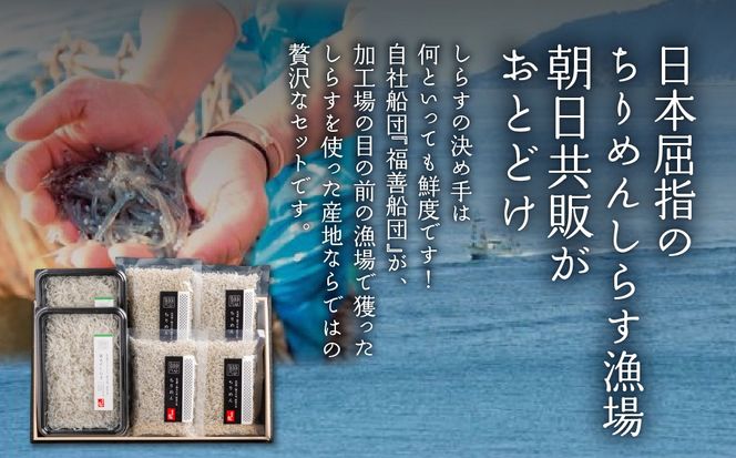 【網元直送】佐田岬しらす・ちりめんセット IKTB032