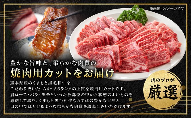 【A4～A5ランク】 くまもと黒毛和牛 焼肉用 1kg （500g×2パック） 和牛 牛肉 お肉 黒毛和牛 冷凍 焼肉 BBQ おかず ギフト 熊本県 八代市