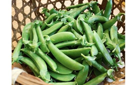 【先行予約：2026年6月上旬頃より発送】甘くてシャキシャキ！ おやつ感覚で食べられる スナップエンドウ 1Kg えんどう豆 夏野菜 おつまみ お弁当 旬の野菜 産地直送 NicoFarm_Y124-0048