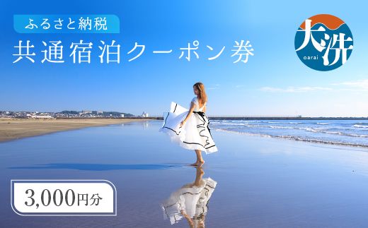大洗町 共通 宿泊 クーポン 3,000円分 関東 茨城