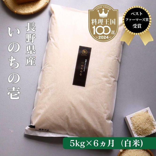 定期便 6ヶ月 ベストファーマーズ賞受賞 いのちの壱 白米 5kg 無農薬 令和8年産 米 お米 チャック付 チャック 小分け  産地直送 長野 定期 6回