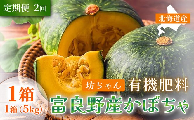 【定期便2ヵ月】秋の味覚 北海道産 小玉カボチャ 坊ちゃんカボチャ 無選別 5kg×1箱 全2回｜北海道富良野市 9～10月発送 野菜 料理用 家庭用 シェア用 ホクホク 濃厚 甘い 黒皮カボチャ かぼちゃ 坊ちゃんかぼちゃ