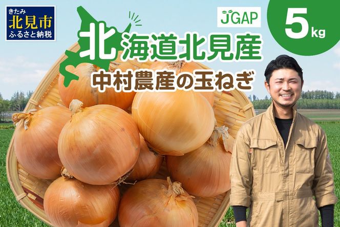 【予約：2026年10月から順次発送】北海道北見産 玉ねぎ 5kg ( 玉ねぎ 野菜 たまねぎ タマネギ 玉葱 甘い ハンバーグ 肉じゃが ふるさと納税 玉ねぎ )【002-0008-2026】