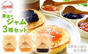 ジャム【ジャムセット】りんご リンゴ りんごジャム 紅玉 ふじ ブルーベリージャム フルーツジャム 完熟 アップル 果物 ペースト トッピング  トースト ヨーグルト 信州 長野