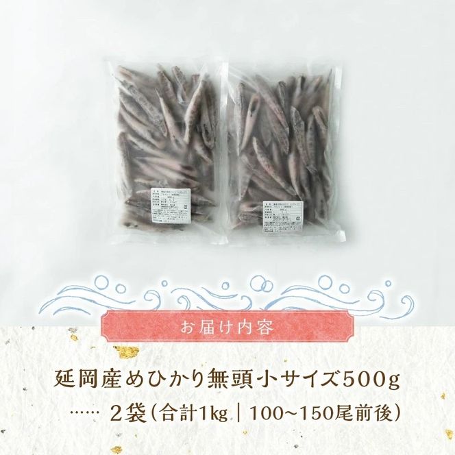 延岡産めひかり無頭小サイズ500g×2袋 N0184-YA2268