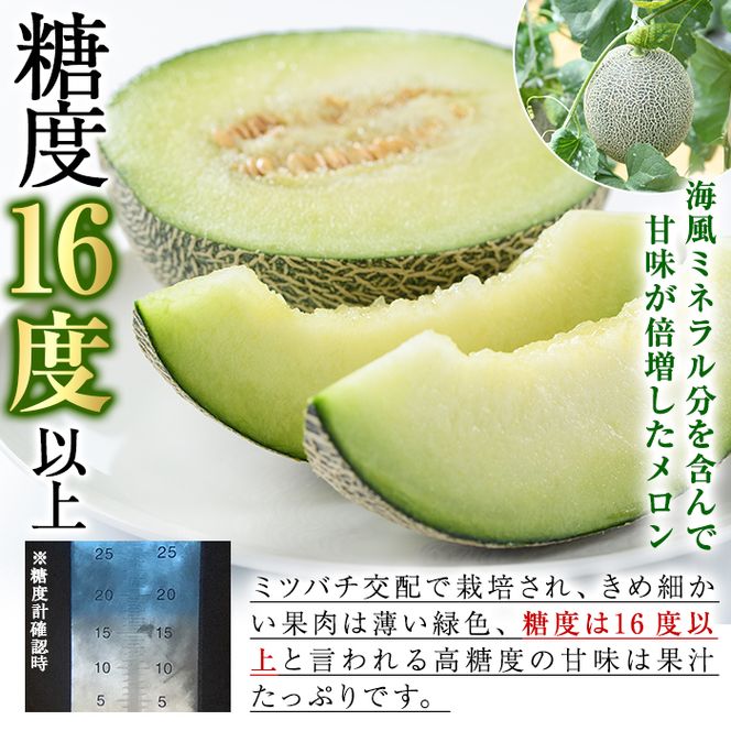 ＜先行予約受付中！2027年6月中旬以降順次発送予定＞ 数量限定！鹿児島県産南国グリーンメロン(1.0kg以上×3個) メロン フルーツ デザート 果物 鹿児島 国産 阿久根市産 青肉 ハウス ハウス栽培 期間限定 【東新グリーンファーム合同会社】akn062-12