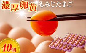 【山田養鶏】濃厚卵黄もみじたまご【40個入り】  [No.1122]