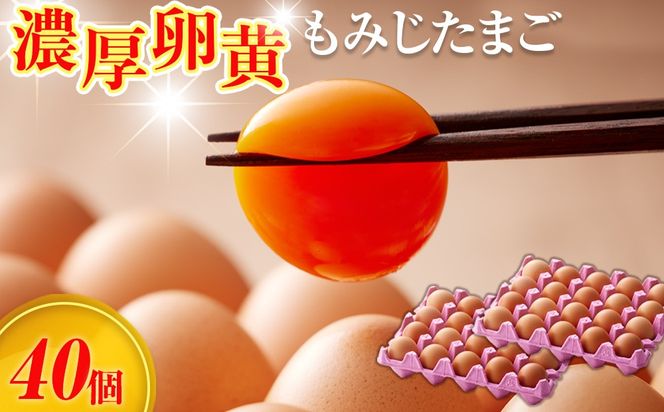 【山田養鶏】濃厚卵黄もみじたまご【40個入り】  [No.1122]