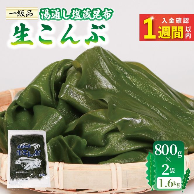 【スピード発送】 塩蔵 生こんぶ 2袋（1.6kg） [honda004_2]