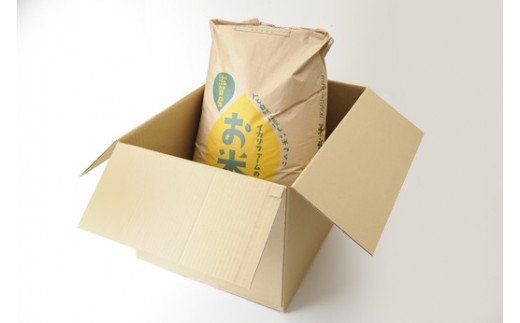 【新米】令和8年産　冷めても美味しいあっさりとした味わい「みずかがみ」玄米【30kg×1袋】【C019W2】（滋賀県　近江八幡市）