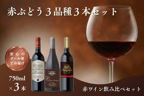 【B-215】W201 赤ぶどう3品種 3本セット