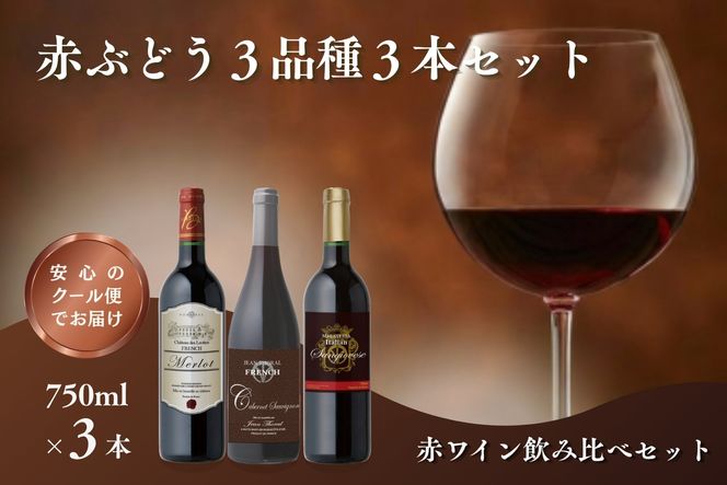 【B-215】W201 赤ぶどう3品種 3本セット