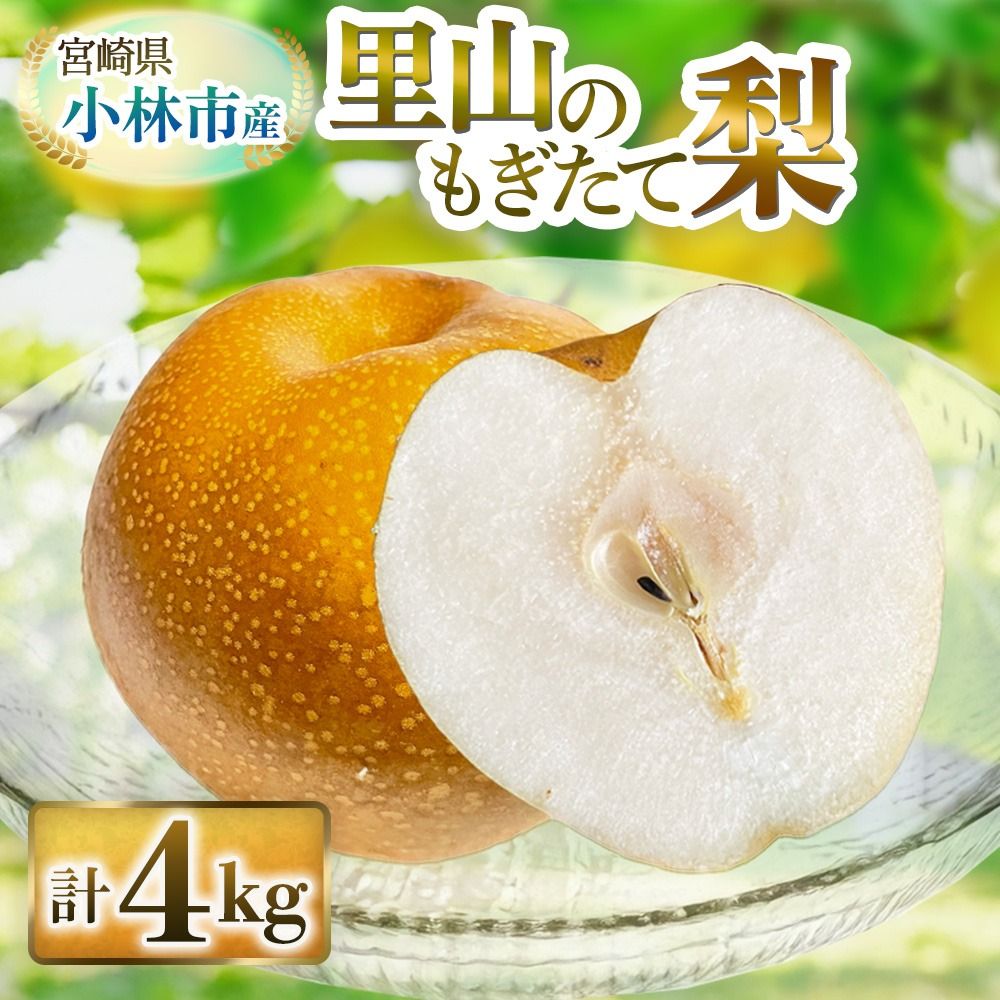 [産直もぎたて]里山のもぎたて梨 4kg程度(フルーツ 果物 旬 梨 国産 限定 期間限定)