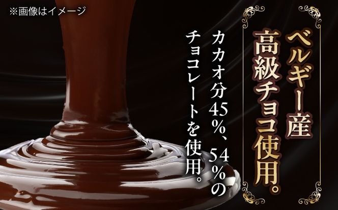 ＼クリスマスケーキ／ 濃厚チョコ ガトーショコラ 4号 ケーキ 洋菓子 チョコレート 愛西市 / スイーツカフェハル[AEDP010-2]