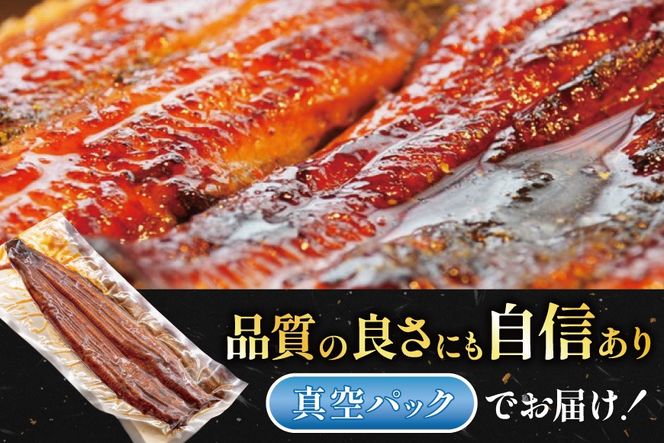 うなぎ 国産 静岡 うなぎ蒲焼 白焼 各130g 以上 各 1尾 計 2尾 タレ 山椒 付き [大井川うなぎ 静岡県 吉田町 22424701 ] 鰻 ウナギ うなぎかば焼き うなぎ蒲焼き 鰻蒲焼 鰻蒲焼き ウナギかば焼き 真空パック 蒲焼 タレ たれ 静岡県産 unagi