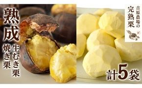 【 吉原農場 の 完熟栗 】 熟成 生むき栗 3袋 ・ 焼き栗 2袋 セット 令和7年産 完熟 栗 くり クリ 栗ごはん 贈答 ギフト 果物 フルーツ 数量限定 旬 秋 冬 正月 おせち [CX009ci]