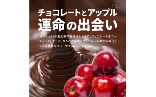 アップルチョコレートミルク900g【fktr0004】