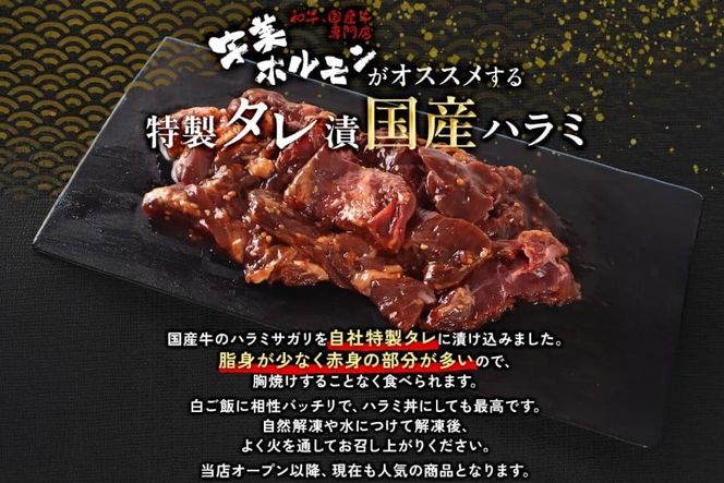 牛肉 焼肉 国産 特製たれ漬 牛ハラミ サガリ 500g [宇美ホルモン 福岡県 宇美町 um40azp100003] ハラミ はらみ 牛はらみ 小分け 個包装 牛 肉 焼き肉 ホルモン タレ漬け たれ漬け