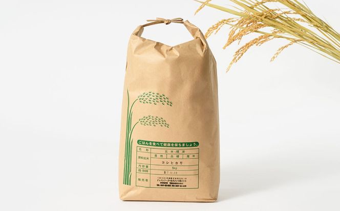 【先行予約】【令和8年産】茨城県産コシヒカリ 5kg ※2026年10月～発送 | 米 お米 おこめ コメ 白米 精米 ご飯 ごはん コシヒカリ こしひかり 茨城県 守谷市
