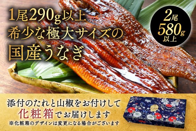 国産 希少 超極大 特上うなぎ(290g×2尾)【OT000O290】