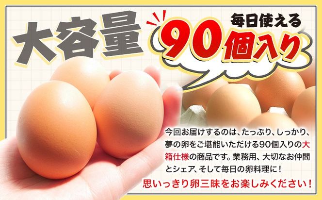 卵 たまご 赤玉 夢の卵 90個《90日以内に出荷予定(土日祝除く)》株式会社めぐみ 岡山県 浅口市 送料無料 大容量 大箱 たっぷり---124_79_90d_23_21000_9---