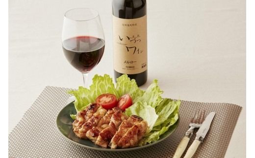 井筒ワイン 酸化防止剤無添加 井筒 メルロー 赤辛口 720ml × 2本 発売元 株式会社片山 【kw0134-0119】