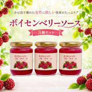小豆島で獲れた女性に嬉しい効果がたっぷり！ボイセンベリーソース3個セット フルーツソース ボイセンベリー セット ギフト 贈り物