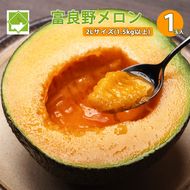 【2026年夏発送】北海道 富良野 メロン 2Lサイズ 1.5kg以上×1玉 フルーツ 果物