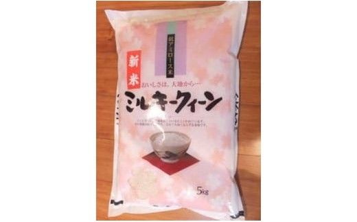 【新米　先行予約】令和8年産　近江米ミルキークイーン【5kg×1袋】【T039W】