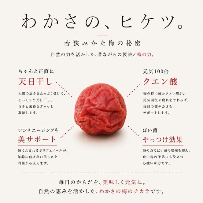 【訳あり】大入り梅干し130g×3袋 合計 390g 【保存容器付き】 発酵食品 昔ながらの梅干し すっぱい しそ漬け 塩分18％ Lサイズ 紅映梅を使用 福井県の特産 訳ありはパッケージ変更のため