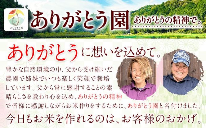 ひのきキューブ 5個 ヒノキ 桧 ウッド 木製 手作り ありがとう園《30日以内に出荷予定(土日祝除く)》岡山県 矢掛町 香り リラックス エコ 送料無料---osy_arihc_30d_24_6000_5---