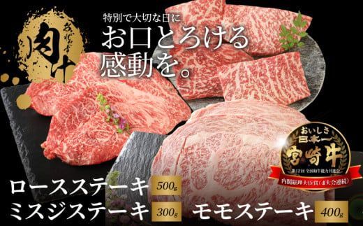 y{茧؏钬z{苍 [XXe[L500 ~XWXe[L300 Xe[L400  K18_0033_4