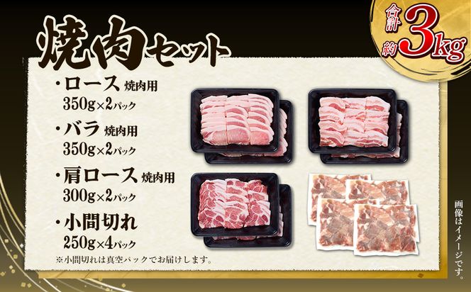 【3回定期便】豚肉 宮崎県産 いもこ豚 焼肉 セット 3kg × 3回 総合計 9kg 切り落とし 小分け 豚 豚バラ バラ ロース 肩ロース スライス 小間切れ 焼肉用 焼き肉 BBQ 鉄板焼き 豚丼 国産 九州産 宮崎 ブランド 冷凍 送料無料