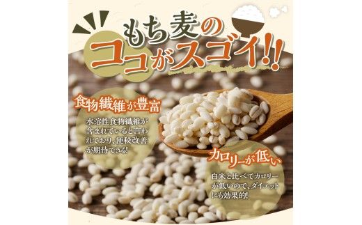 【ごはんで腸活】もち麦ごはんレトルト48パック