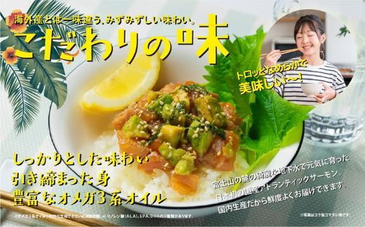 日本初 完全陸上養殖 静岡県小山町産 アトランティックサーモン 冷凍 ポキ丼 （ 食べ比べ セット 約160g / 約130g × 3パック × 4つの味 ） 