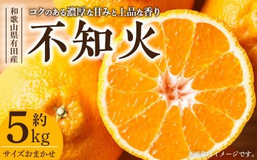 【2027年先行予約】デコ 不知火 約5kg 和歌山県有田産 春みかん (果実サイズおまかせ) 春みかん 紀伊国屋文左衛門本舗_V7412