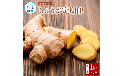 【CF-R7hbk】t184yty　高知県産 生姜 定期便 〈隔月発送 1kgｘ6回 合計6kg〉 ショウガ しょうが 土佐一 定期便 定期コース 6ヶ月 野菜 ジンジャー おかず 料理 生姜焼き 生姜湯 薬味